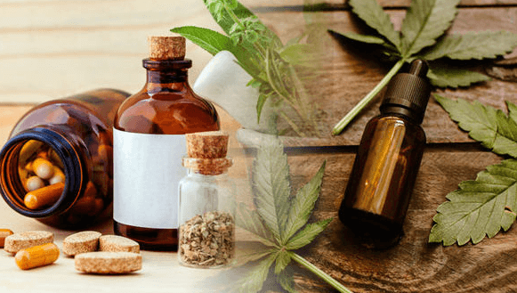 What Is Cbd in Spanish