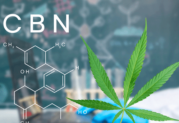 What Is the Difference Between Cbd and Cbn