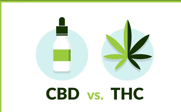 What Is Cbd Vs Thc