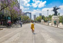bringing cbd to mexico