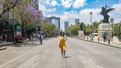bringing cbd to mexico