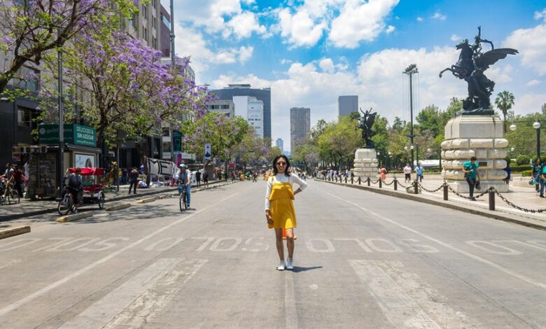 bringing cbd to mexico