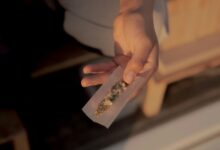 cannabidiol derived from cannabis