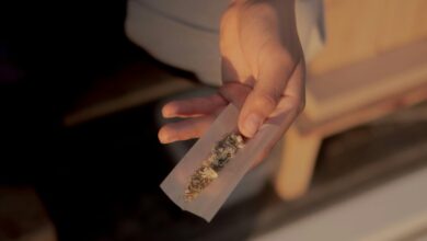cannabidiol derived from cannabis