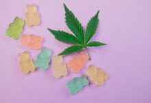 cannabidiol infused edible products