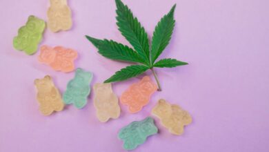 cannabidiol infused edible products