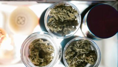 cannabis dispensaries for pets