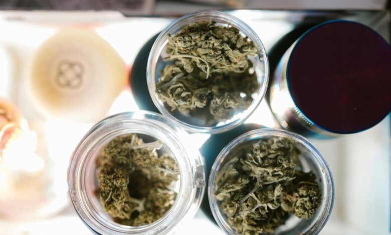 cannabis dispensaries for pets