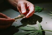cbd classified as drug