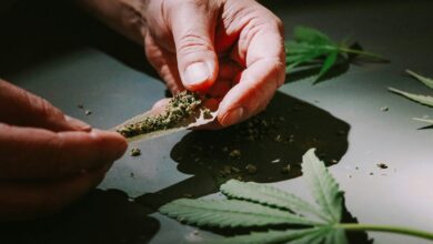 cbd classified as drug
