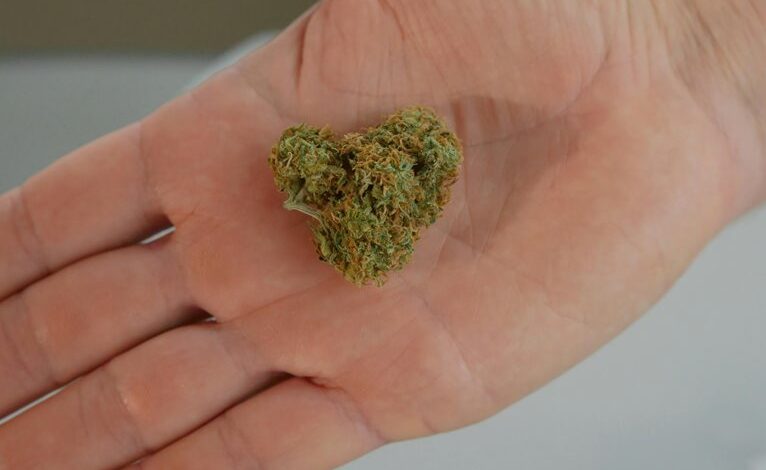 cbd differs from hemp