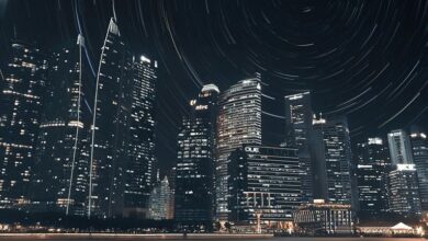 cbd international travel regulations