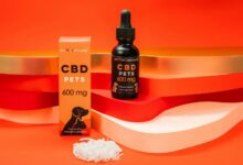 cbd oil dosage for seizures