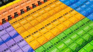 dogs and cbd safety