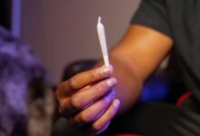 drug interactions with cbd