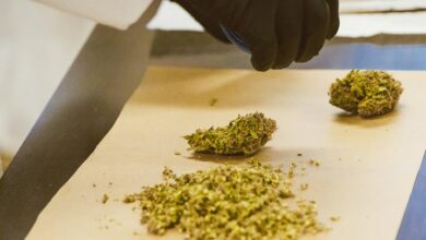 extract thc from cbd
