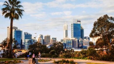 locating cbd sources nearby
