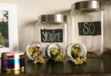 properly store cbd gummies