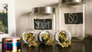 properly store cbd gummies