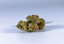 pure cbd compound form