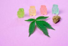 using cbd gummies effectively