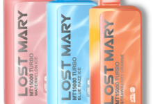 Lost Mary