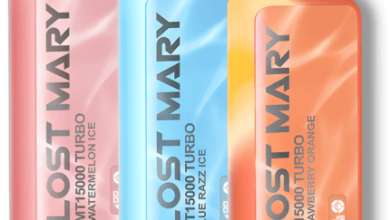 Lost Mary