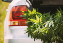 Getting Cannabis Delivered to You