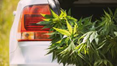 Getting Cannabis Delivered to You