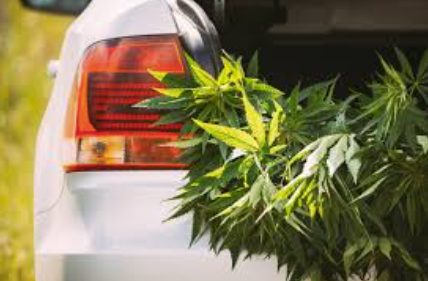 Getting Cannabis Delivered to You