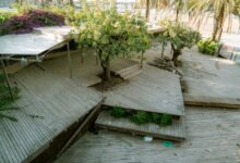 embedtree com increasingly essential platform