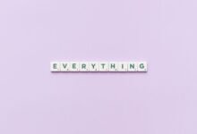everything you need to know
