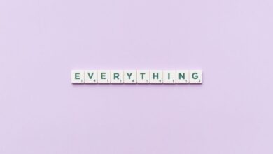 everything you need to know