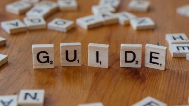 guide tips and insights