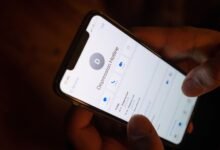 phone number focused update today