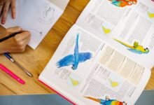the complete guide to gfqhec