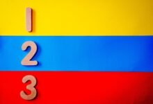 top facts about 3175504434