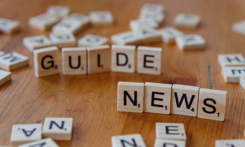 what is 242303834 guide